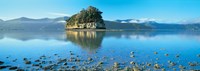 Marlborough Sound, New Zealand Fine Art Print
