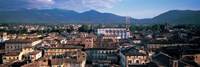 Italy, Tuscany, Lucca Fine Art Print