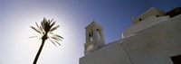 Low angle view of a palm tree near a church , Ios, Cyclades Islands, Greece Fine Art Print