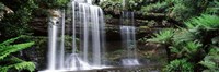 Waterfall in a forest, Russell Falls, Mt Field National Park, Tasmania, Australia Fine Art Print