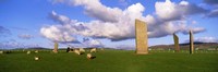 Stones Of Stenness, Scotland, United Kingdom Fine Art Print