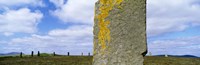 Yellow markings on a pillar in the Ring Of Brodgar, Orkney Islands, Scotland, United Kingdom Fine Art Print