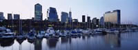 Boats Docked At A Harbor, Puerto Madero, Buenos Aires, Argentina Fine Art Print