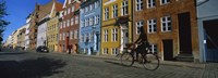 Woman Riding A Bicycle, Copenhagen, Denmark Fine Art Print