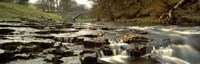 Arch Bridge Over A River, Stainforth Force, River Ribble, North Yorkshire, England, United Kingdom Fine Art Print
