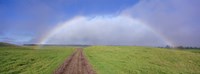 Rainbow Over A Landscape, Kamuela, Big Island, Hawaii, USA Fine Art Print