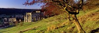 Church On A Landscape, Rievaulx Abbey, North Yorkshire, England, United Kingdom Fine Art Print