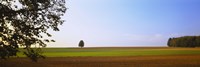 Plowed  field, Germany Fine Art Print