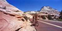 Two people cycling on the road, Zion National Park, Utah, USA by Panoramic Images - 27" x 14"