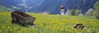 Wheelbarrow in a field, Austria Fine Art Print
