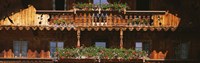 Close-up of potted plants on balcony railings, Tirol, Austria Fine Art Print