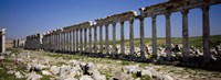 Row of Columns, Cardo Maximus, Apamea, Syria Fine Art Print