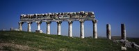 Columns on a landscape, Apamea, Syria Fine Art Print