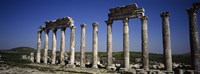 Cardo Maximus Ruins, Apamea, Syria Fine Art Print