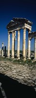 Old ruins of a built structure, Entrance Columns, Apamea, Syria Fine Art Print