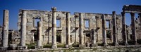 Ruins at Cardo Maximus, Apamea, Syria Fine Art Print