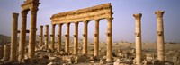 Ruins in Palmyra, Syria Fine Art Print