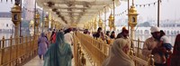 Group of people walking on a bridge over a pond, Golden Temple, Amritsar, Punjab, India Fine Art Print