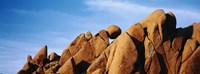 Close-up of rocks, Mojave Desert, Joshua Tree National Monument, California, USA Fine Art Print