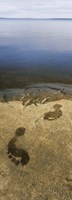 High angle view of wet footprints on a rock, Lake Pielinen, Lieksa, Finland by Panoramic Images - 9" x 27"