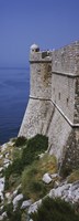 Fortress of St Petar as seen from city wall, Dubrovnik, Croatia Fine Art Print