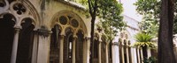 Trees in front of a monastery, Dominican Monastery, Dubrovnik, Croatia Fine Art Print