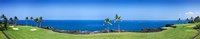 Trees in a golf course, Kona Country Club Ocean Course, Kailua Kona, Hawaii Fine Art Print