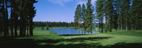 Trees on a golf course, Edgewood Tahoe Golf Course, Stateline, Nevada, USA Fine Art Print