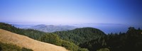 High angle view of a forest, Mt Tamalpais, California, USA by Panoramic Images - 27" x 9"