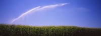 Water being sprayed on a corn field, Washington State, USA by Panoramic Images - 27" x 9"