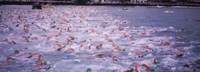 Triathlon athletes swimming in water in a race, Ironman, Kailua Kona, Hawaii, USA Fine Art Print