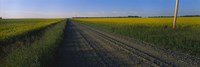 Country Road in Millet, Canada Fine Art Print