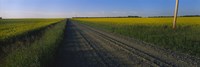 Country Road in Millet Canada