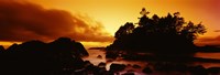 Silhouette of rocks and trees at sunset, Tofino, Vancouver Island, British Columbia, Canada Fine Art Print