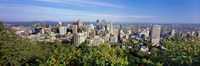 High angle view of a cityscape, Parc Mont Royal, Montreal, Quebec, Canada Fine Art Print