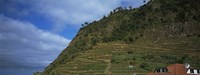 Low angle view of terraced fields on a mountain, Ponta Delgada, Madeira, Portugal Fine Art Print