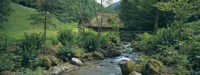 River flowing through forest, Black Forest, Glottertal, Germany Fine Art Print