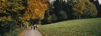 Group of people walking on a walkway in a park, St. Peter, Black Forest, Baden-Wurttemberg, Germany Fine Art Print