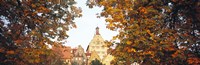 Low angle view of buildings viewed through trees, Bietigheim, Baden-Wurttemberg, Germany Fine Art Print