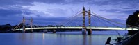 Suspension bridge across a river, Thames River, Albert Bridge, London, England Fine Art Print