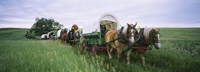 Historical reenactment, Covered wagons in a field, North Dakota, USA Fine Art Print