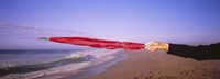 Close-up of a woman's hand pointing with a red umbrella, Point Reyes National Seashore, California, USA by Panoramic Images - 27" x 9"