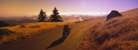 High angle view of a motorcycle moving on a road, Mt Tamalpais, Marin County, California, USA Fine Art Print