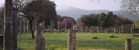 Ancient Olympia, Olympic Site, Greece Fine Art Print