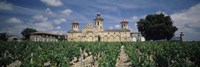 Vineyard in front of a castle, Chateau Cos d'Estournel, Saint-Estephe, Bordeaux, Gironde, Graves, France Fine Art Print