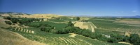 Carneros District, Napa Valley, Napa County, California by Panoramic Images - 27" x 9"
