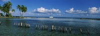 Wooden posts in the sea with a boat in background, Laughing Bird Caye, Victoria Channel, Belize Fine Art Print