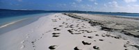 Footprints on the beach, Cienfuegos, Cienfuegos Province, Cuba Fine Art Print