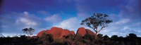 Low angle view of a sandstone, Olgas, Uluru-Kata Tjuta National Park, Northern Territory, Australia Fine Art Print