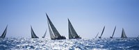 Sailboats racing in the sea, Farr 40's race during Key West Race Week, Key West Florida, 2000 by Panoramic Images, 2000 - 27" x 9"